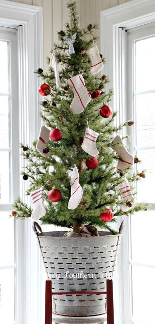 Christmas tree in the bucket