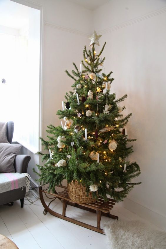 A Christmas tree on a sleigh