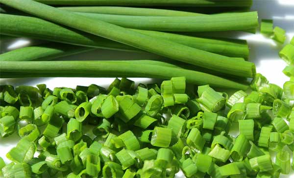 cooking chives