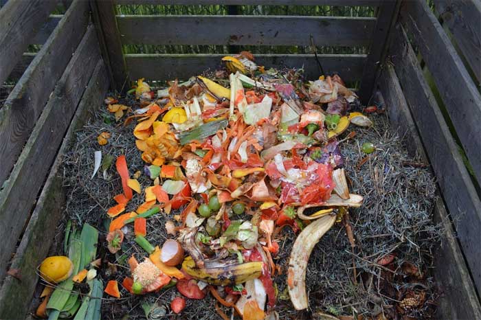 Where to put the compost bin in the garden