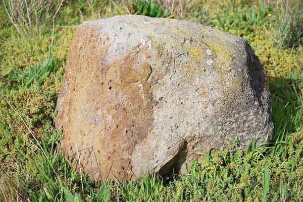 landscape artificial rock