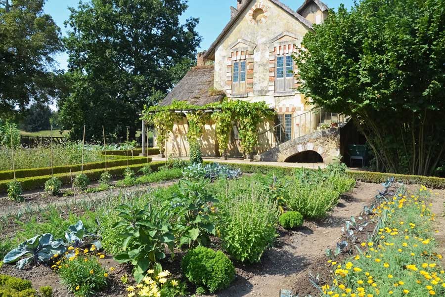 A neat and tidy vegetable garden