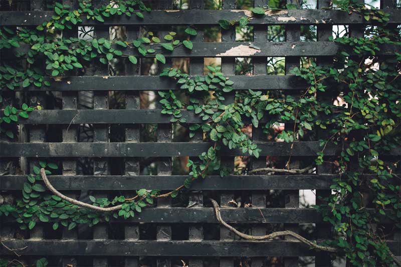 Windbreak fence panel