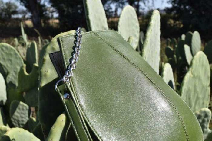 Vegan leather from cactus