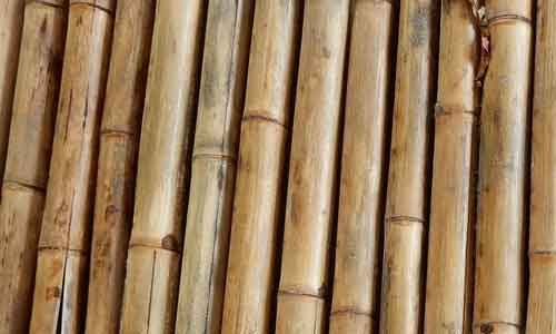 bamboo wood bamboo wood