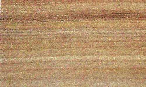 Elm wood Elm wood