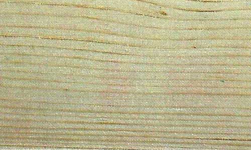 White Spruce White Spruce